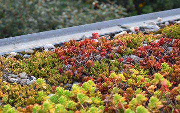 the cost of Toronto green roof installation